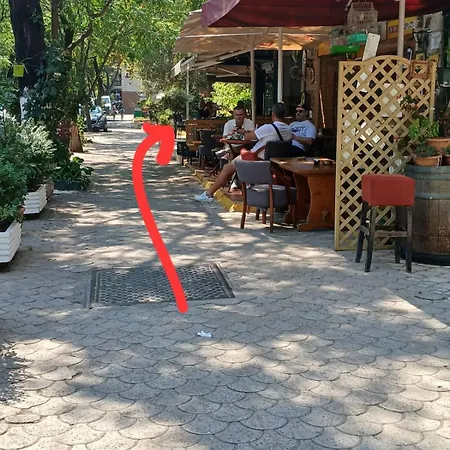 Appartamento Artist's