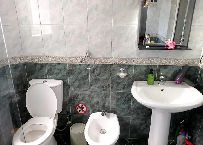 Artist's ティラナ