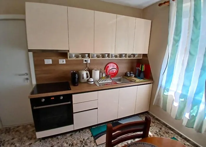 Artist's ティラナ